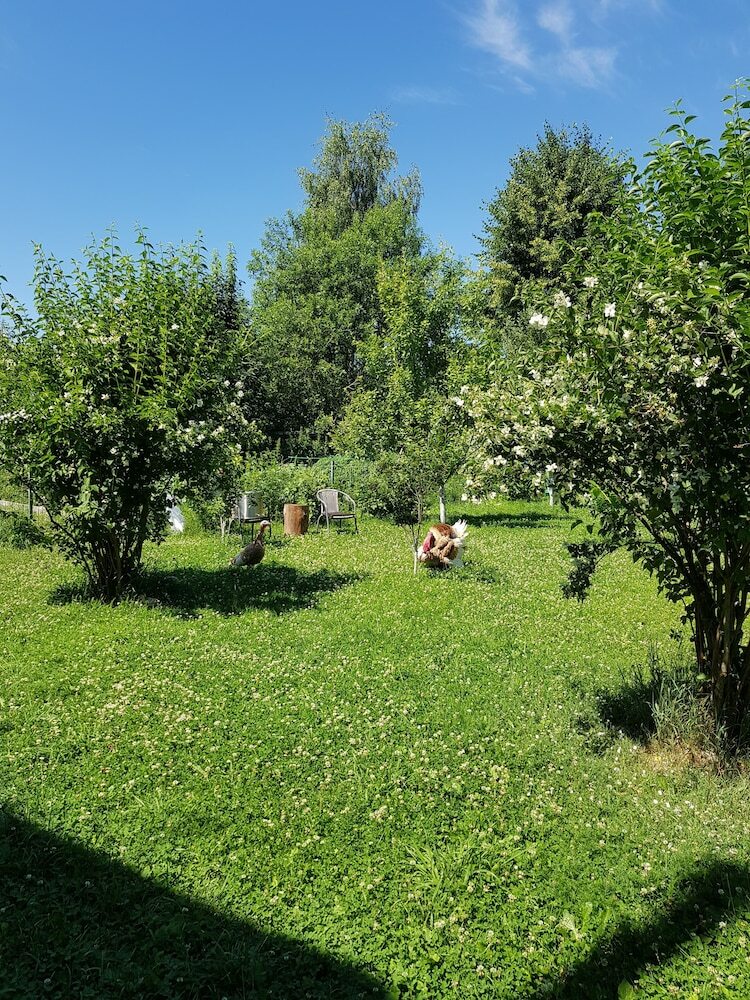 Hostal Dream Village