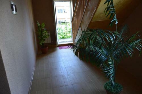 Hostal Guesthouse Viola