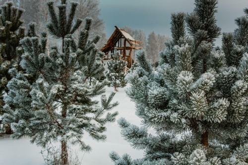 Eco-hotel Vetochka