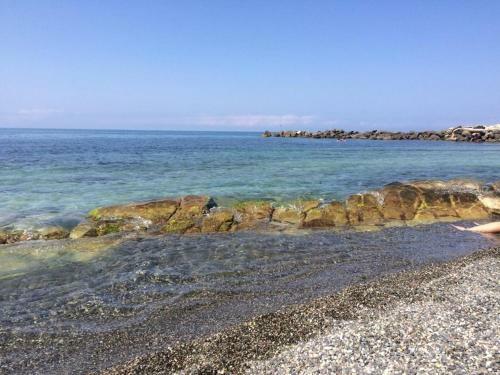 Hostal Guest House Tomichka