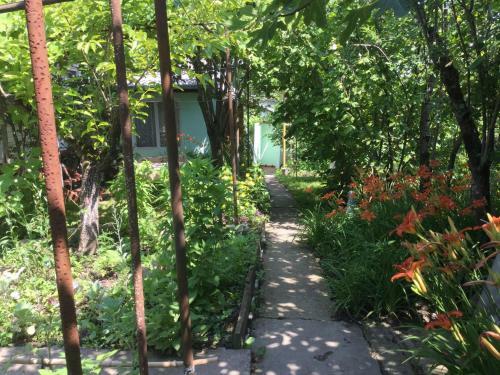 Hostal Guest House Vatutina 6