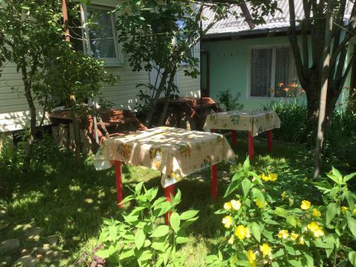 Hostal Guest House Vatutina 6