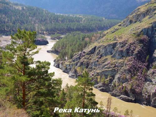 Hostal Guesthouse V Sosnovom Boru