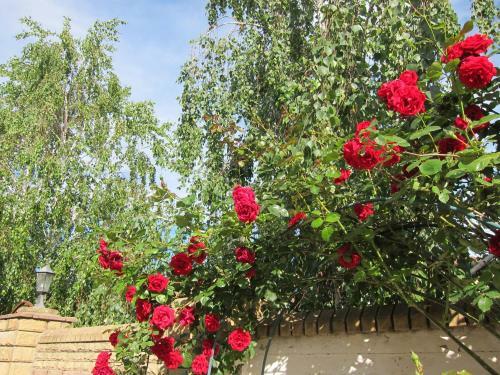 Hostal Guest House On Gagarina 135