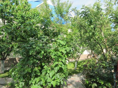Hostal Guest House On Gagarina 135