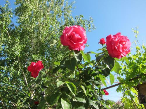 Hostal Guest House On Gagarina 135