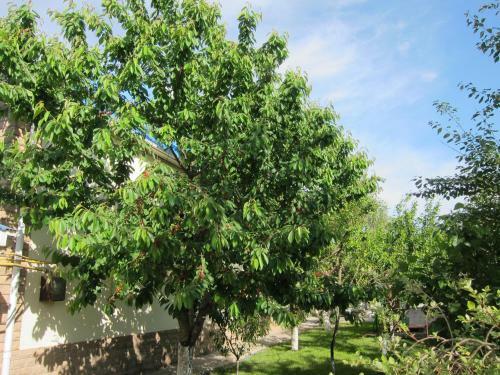 Hostal Guest House On Gagarina 135