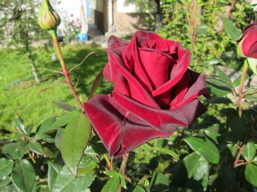 Hostal Guest House On Gagarina 135