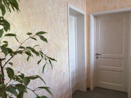 Hostal Guest House "m"