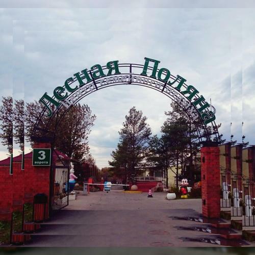 Hotel Lesnaya Polyana
