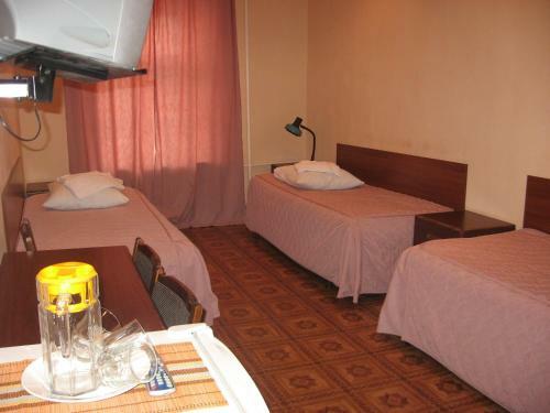 Hotel Nauka Na Millionnaya