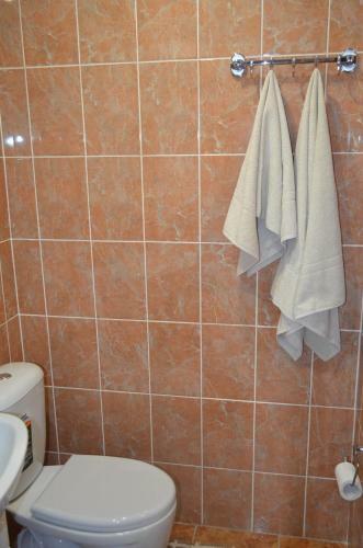 Apartments In Inta City