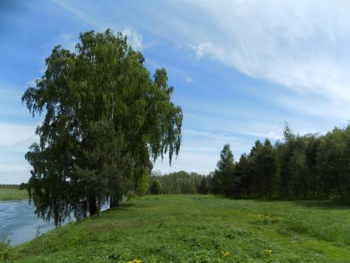 Svistunovo Camping