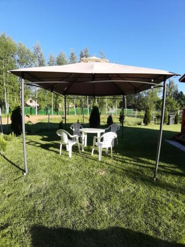 Svistunovo Camping