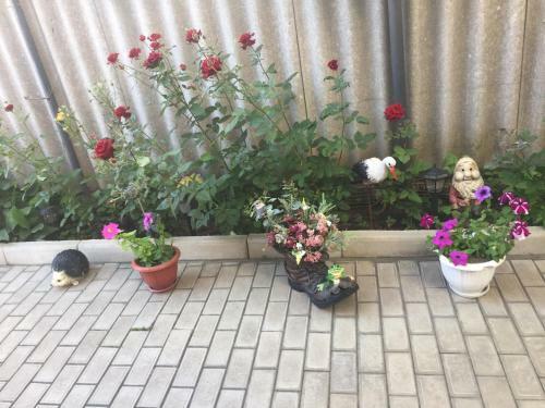Hostal Guest House On Kommunarov 50