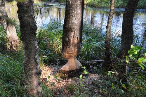 Vacation Home Seliger