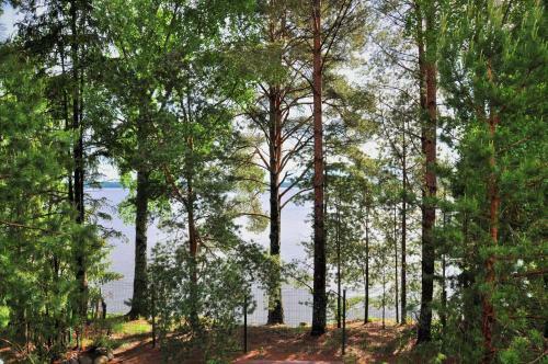 Vacation Home Seliger