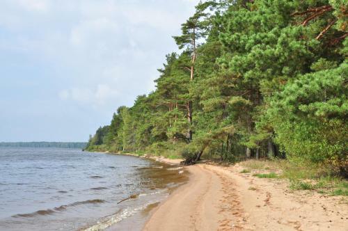 Vacation Home Seliger