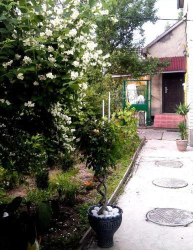 Hostal Valentina Guest House
