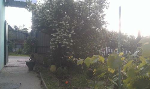 Hostal Valentina Guest House