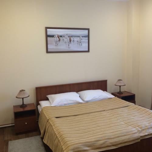 Hotel Onego