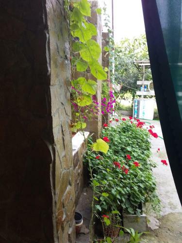 Hostal Guesthouse Novaya Volna