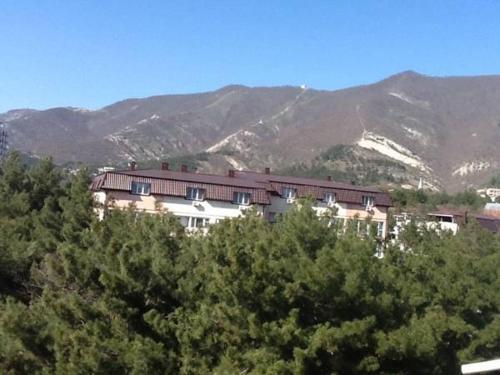 Apartments Babochki