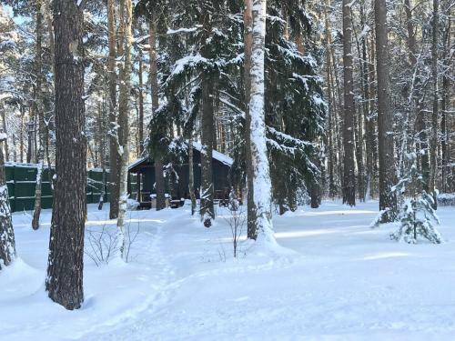 Agroturismo The Gingerbread House