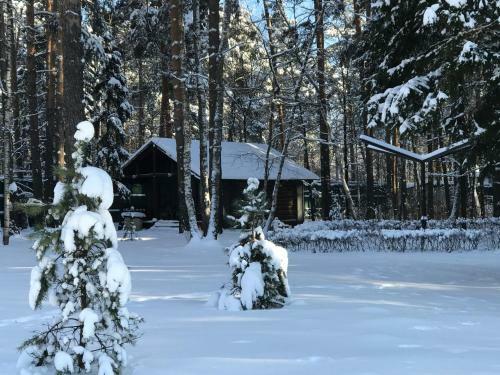 Agroturismo The Gingerbread House