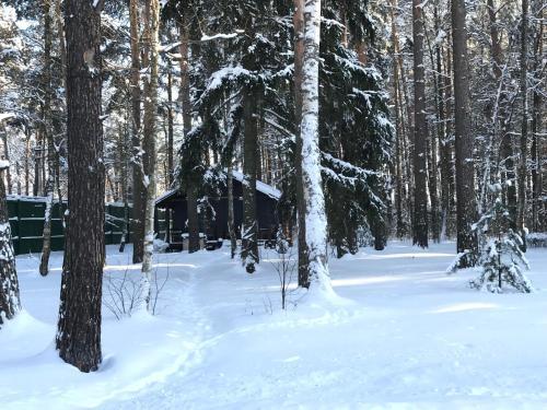 Agroturismo The Gingerbread House
