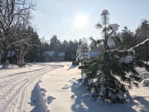 Agroturismo The Gingerbread House
