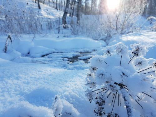 Apartamento Zastava Holiday Park