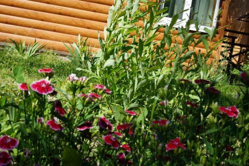 Agroturismo Baza Zaymishche