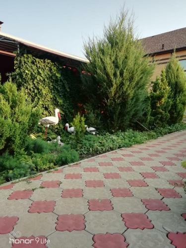 Hostal Guesthouse Ugra Na Primorskom