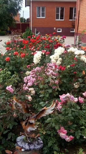 Hostal Guesthouse Ugra Na Primorskom