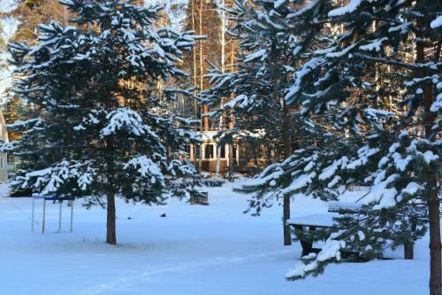 Agroturismo Vuoksa-khutor