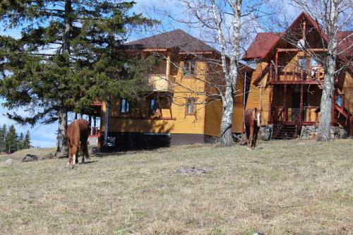 Cottage Houses Mikli Olgino