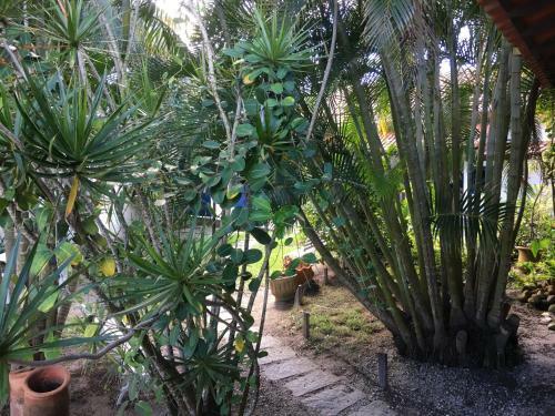 Hostal Pousada Catavento