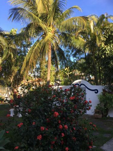 Hostal Pousada Catavento