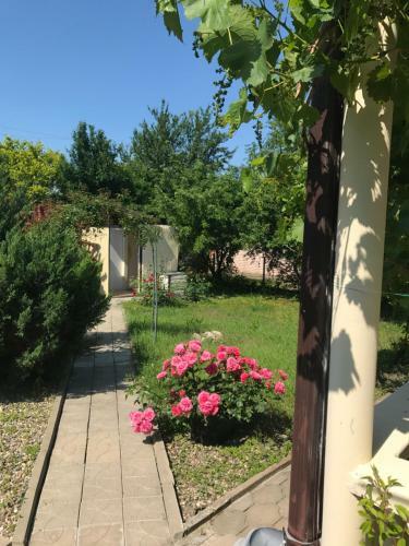 Hostal Stefani Hoff Guest House