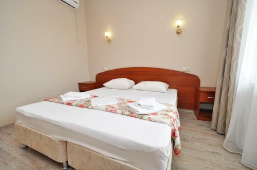 Hotel Guest House Anesti