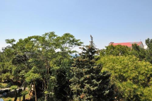 Mayak Health Resort