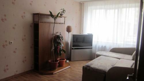 Apartment On Michurina