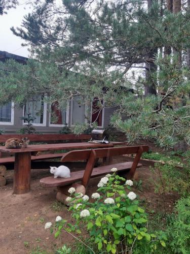 Hostal Guest House Eco-residency Troiza