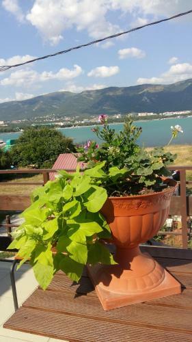 Hostal Guest House Moreleto