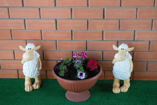 Hostal Guest House Dolce Vita
