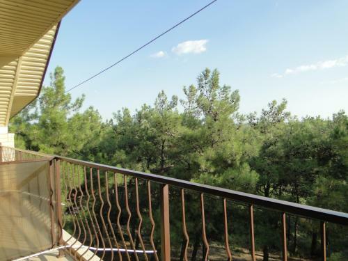 Hostal Guest House Nikita