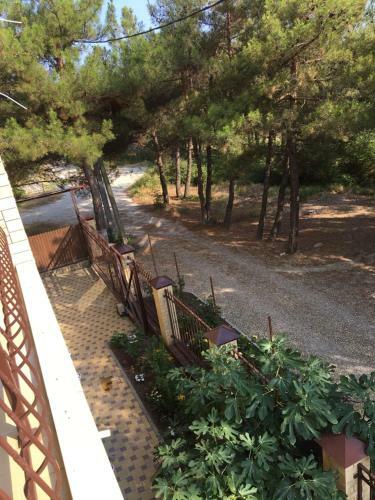 Hostal Guest House Nikita