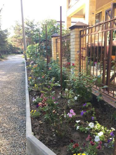 Hostal Guest House Nikita