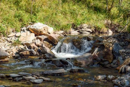 Zaimka Lesnaya Skazka